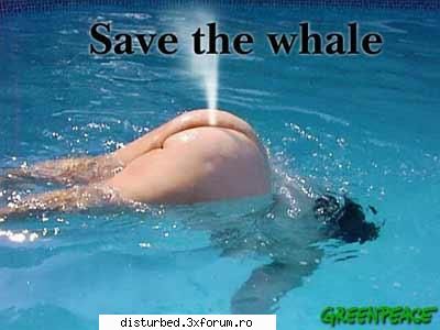 funny jpg! save willy