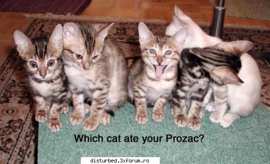 Funny Jpg! - how 'bout this? - Jpg Mania