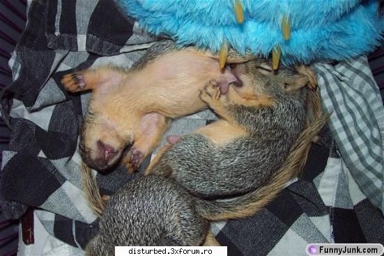 Funny Jpg! - DisTurB3D - Jpg Mania