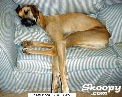 lol :rotfl: funny jpg!