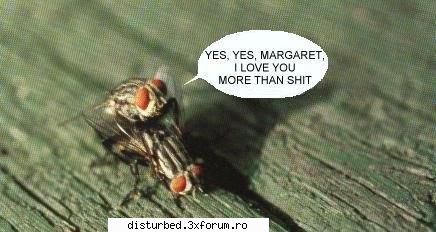 Funny Jpg! - axbig - Jpg Mania