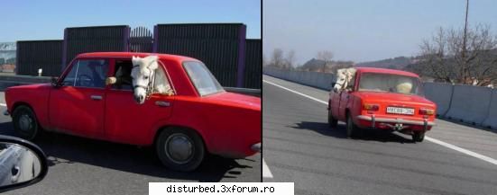 Funny Jpg! - noul FERRARI ENZO LADA F50 (in varianata 4x4) - Jpg Mania